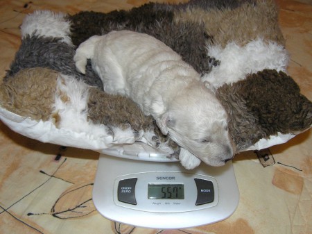 14. den: Váží mne...